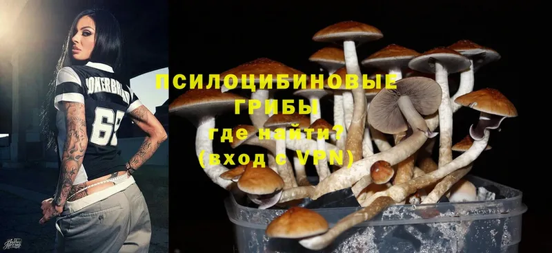 маркетплейс формула  Дегтярск  Псилоцибиновые грибы Magic Shrooms  купить  цена 